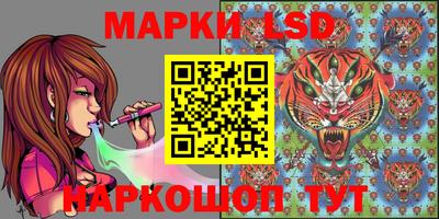 а пвп мука Можга