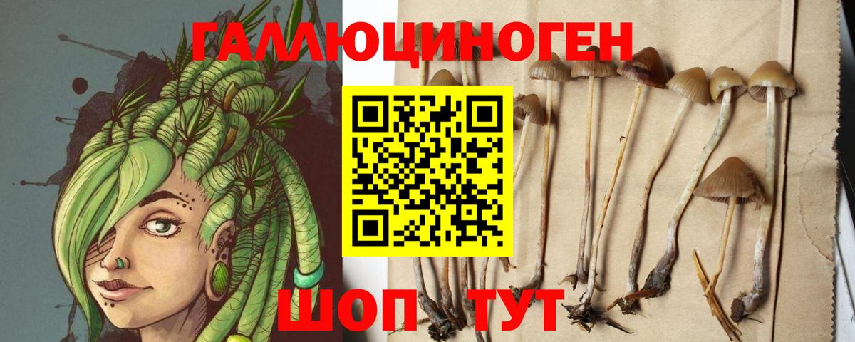 Галлюциногенные грибы MAGIC MUSHROOMS Великий Устюг