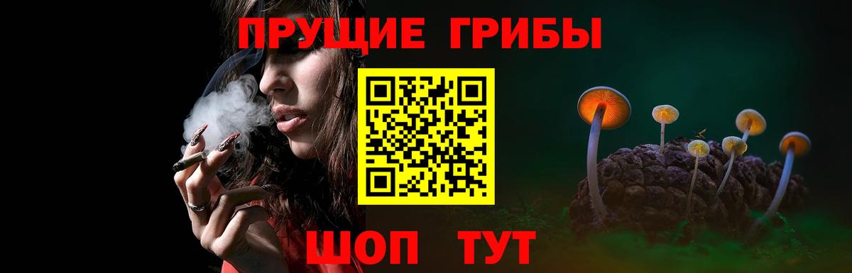 Великий Устюг  Псилоцибиновые грибы Magic Shrooms  Вход с VPN 